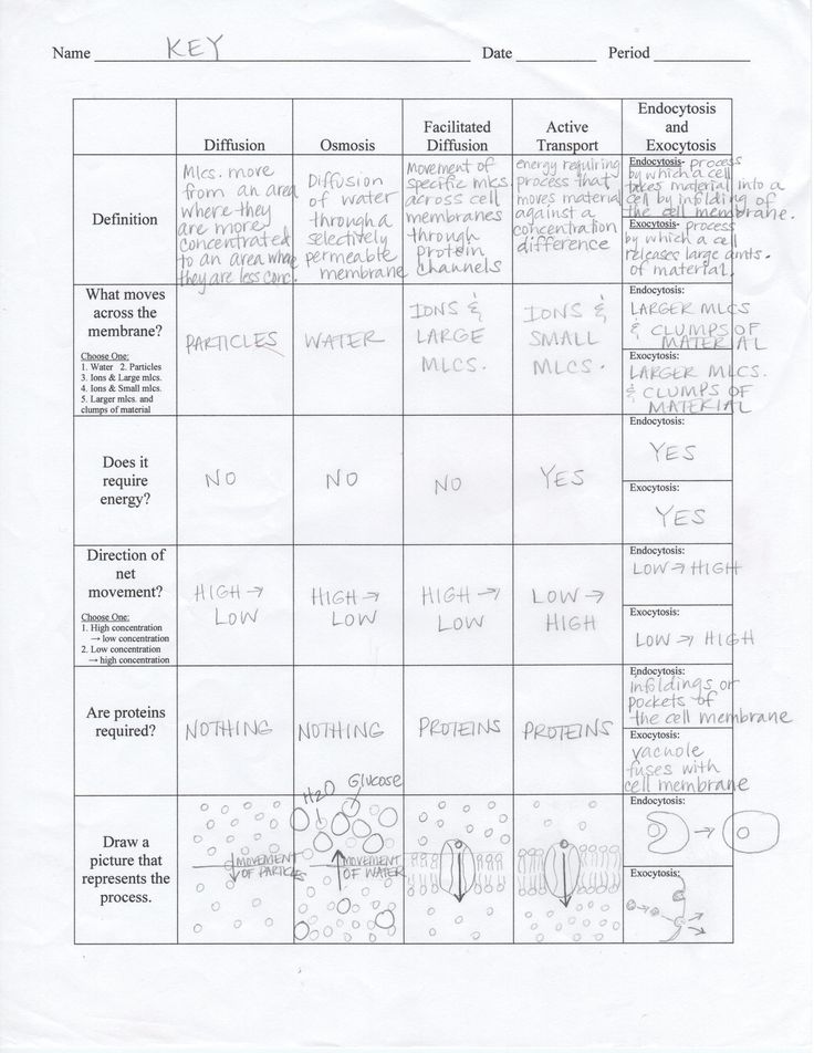 a printable worksheet with words and pictures on the front page, which includes several