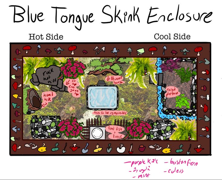 the blue tongue skin enclosure is shown in this drawing