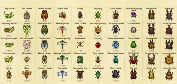 an image of different types of bugs in the world with names and pictures on it