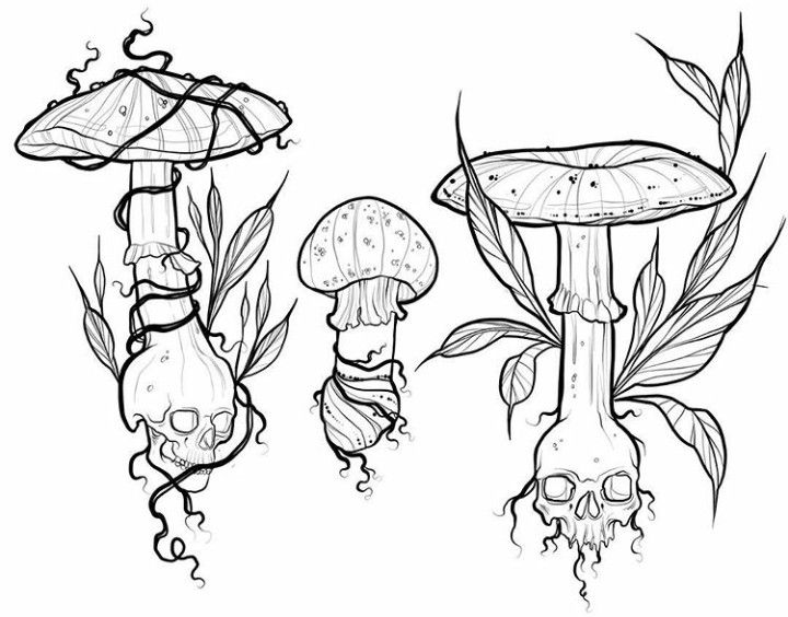 three different types of mushrooms and plants