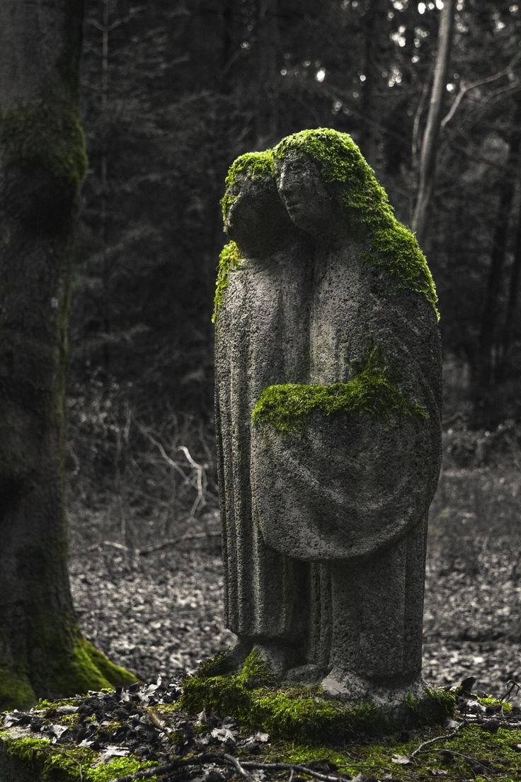 a moss covered statue in the middle of a forest