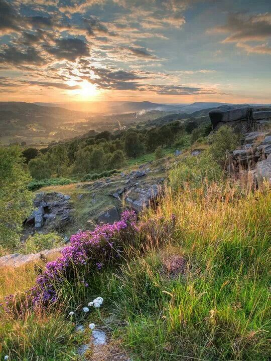 the sun is setting over some rocks and flowers