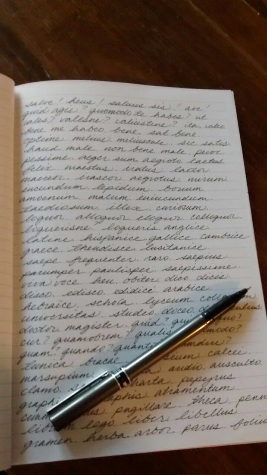 an open notebook with writing on it and a fountain pen resting on the page next to it