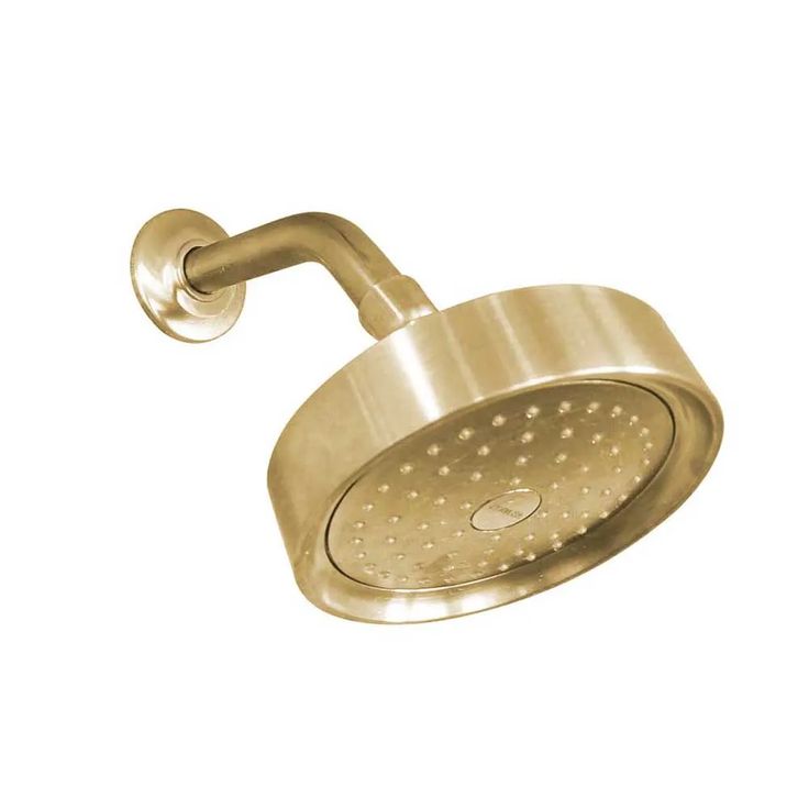 an overhead shower head with the handle extended