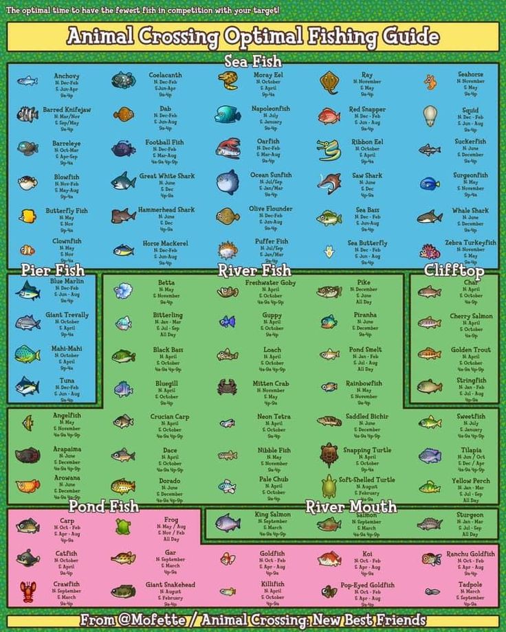 the animal crossing optimal fishing guide is shown in this poster, which shows different types of fish