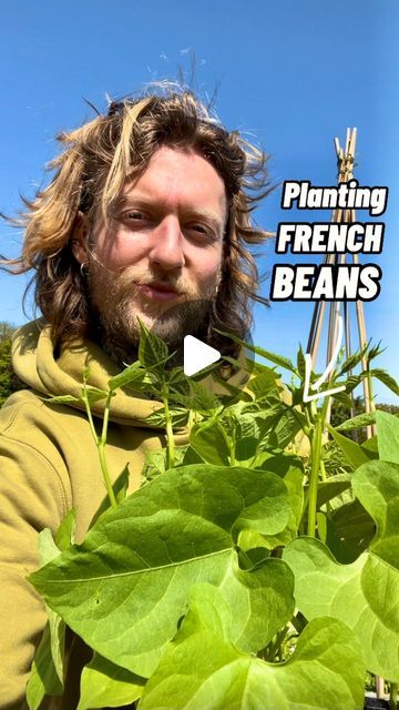 a man with long hair and beard standing in front of green plants that have been planted