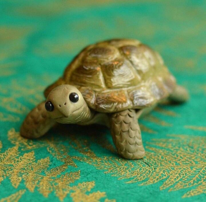 a small turtle sitting on top of a green surface