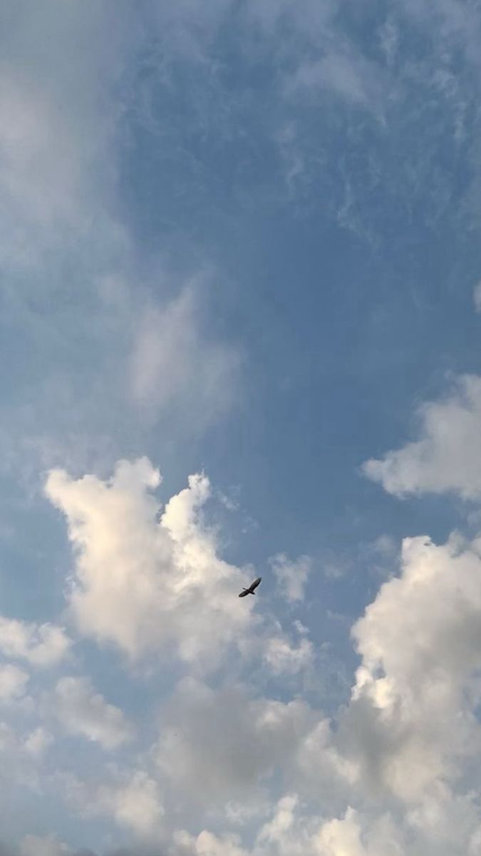 the bird is flying high in the blue sky with white clouds behind it and an airplane on the far side