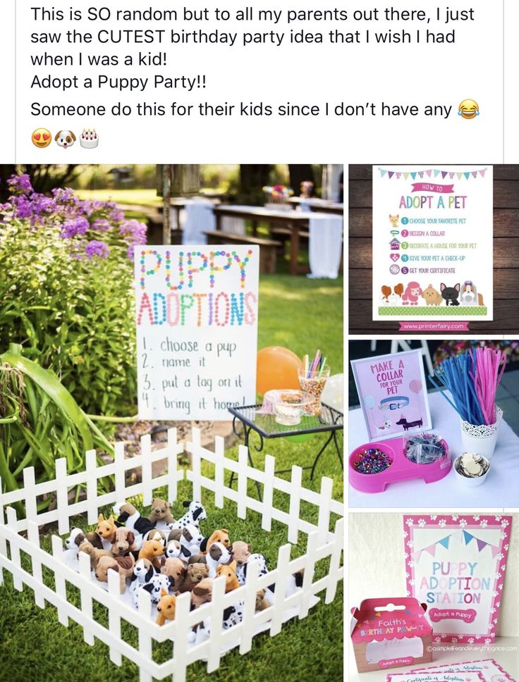 a collage of pictures with dogs and birthday items on them, including a sign that says puppy puppition