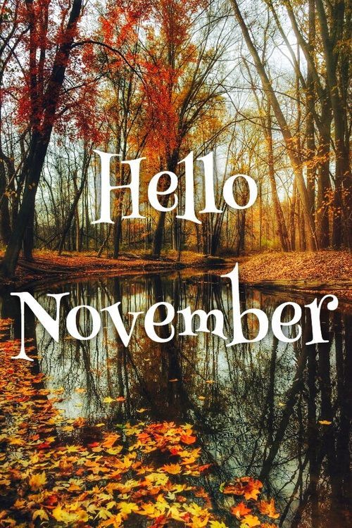 the words hello november written in white on top of a pond surrounded by trees and leaves