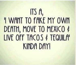 Best Funny Quotes Ever, Taco Pictures, Funniest Quotes Ever, I Love Sarcasm, Love Sarcasm, Funny Shirt Sayings, Inspirational Quotes Pictures, Memes Humor, Work Humor