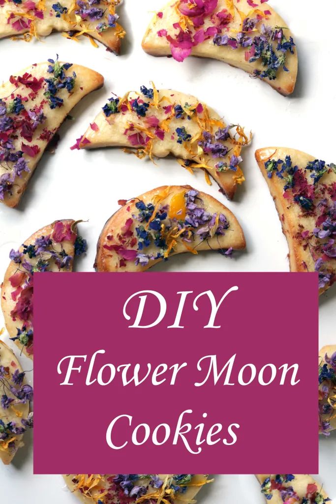 homemade flower moon cookies with sprinkles on top and the title overlay reads diy flower moon cookies