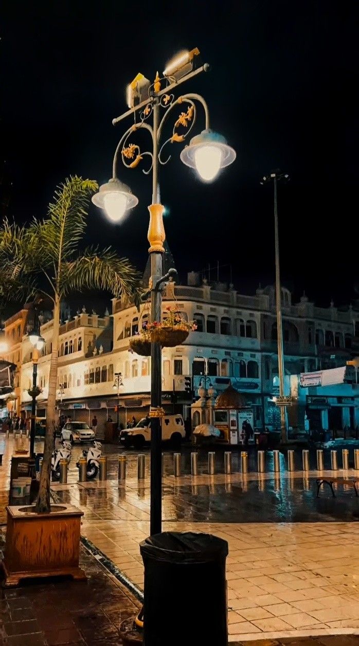 a street light sitting on the side of a road next to palm trees and buildings