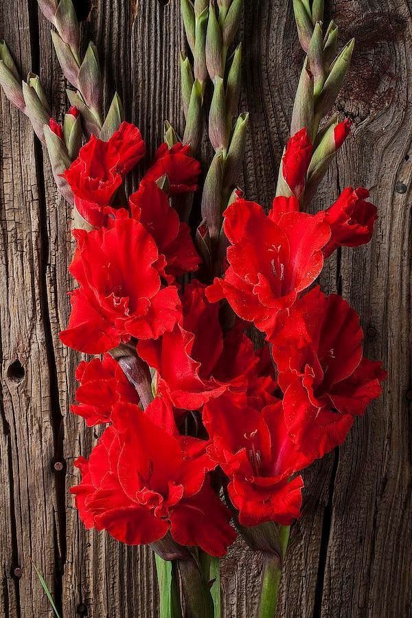 some red flowers are on a wooden table