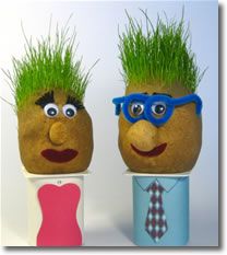 two potato heads with green hair and sunglasses on their faces, one wearing blue glasses