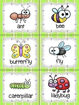 four different types of bugs and ladybugs with the words, i can't tell