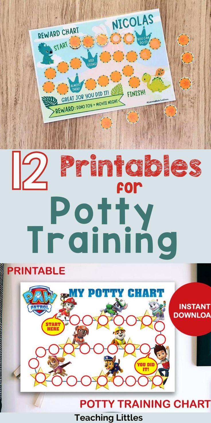 the printable potty training chart with instructions for potty training and potty training sheets