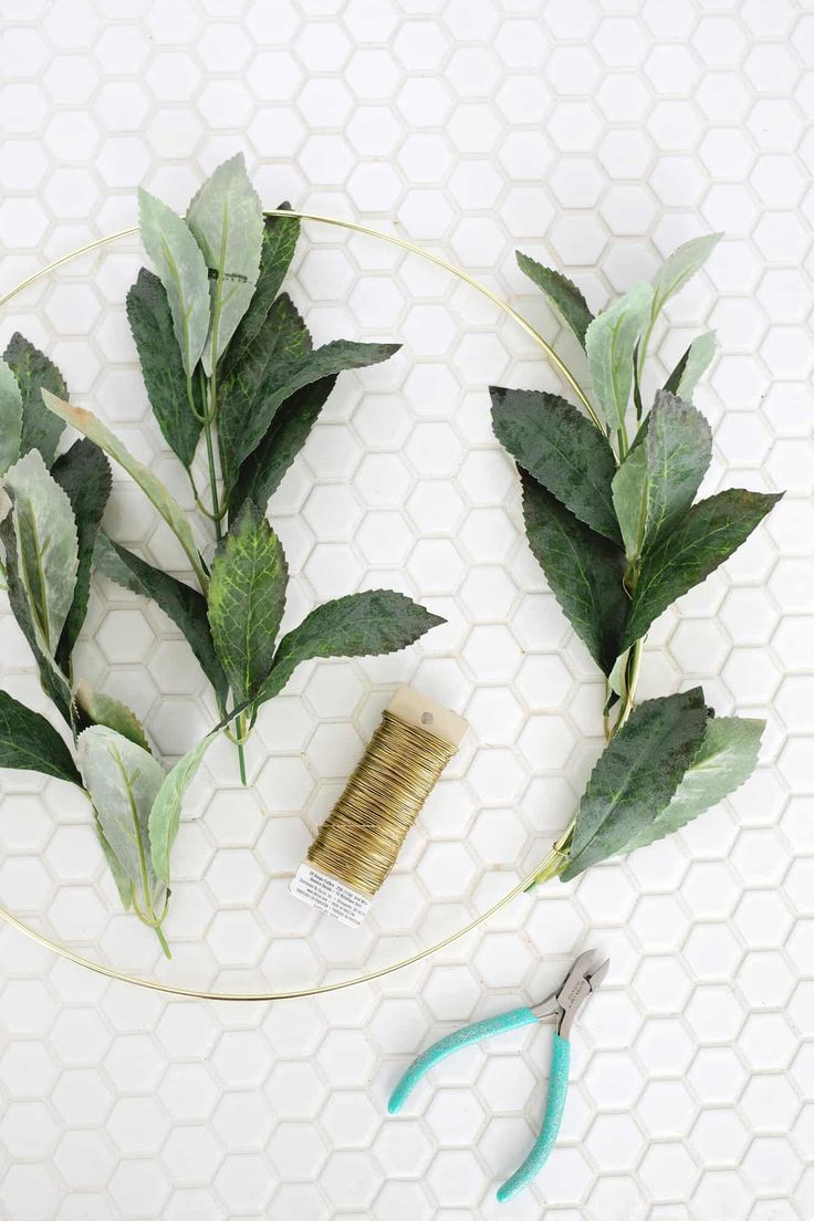 some green leaves are sitting on a plate with scissors and combs next to them