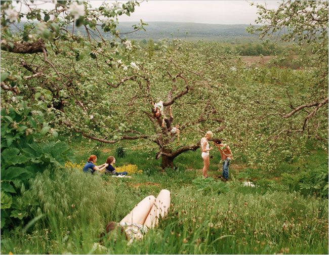 people are sitting in the grass under an apple tree