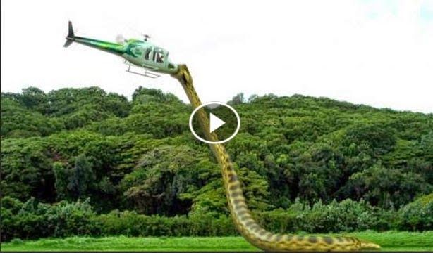 an image of a helicopter flying in the air with trees and bushes behind it, as well as a giraffe's tail