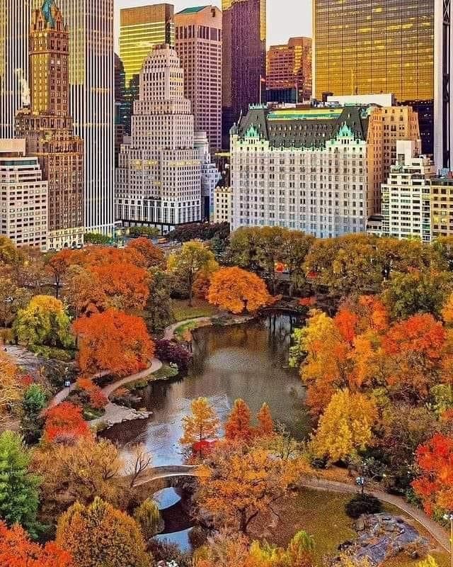 the city is full of tall buildings and trees with orange leaves on them in autumn