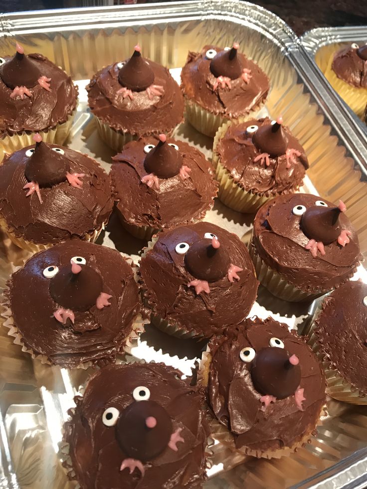 cupcakes with chocolate frosting decorated as faces and noses are on a tray