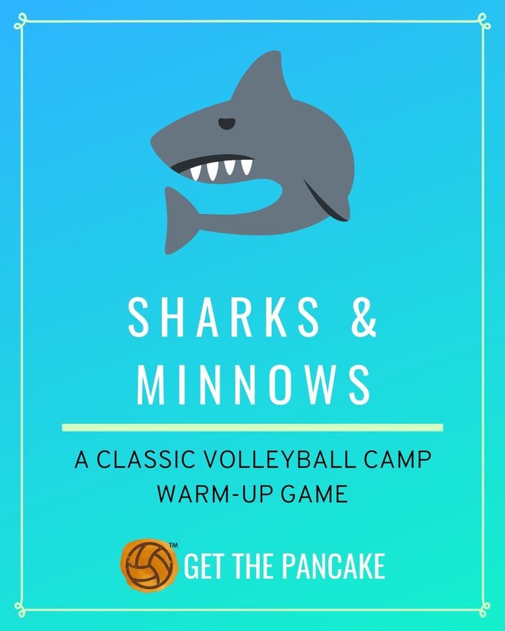 sharks and minnows poster with the words, classic volleyball camp warm up game get the pancake