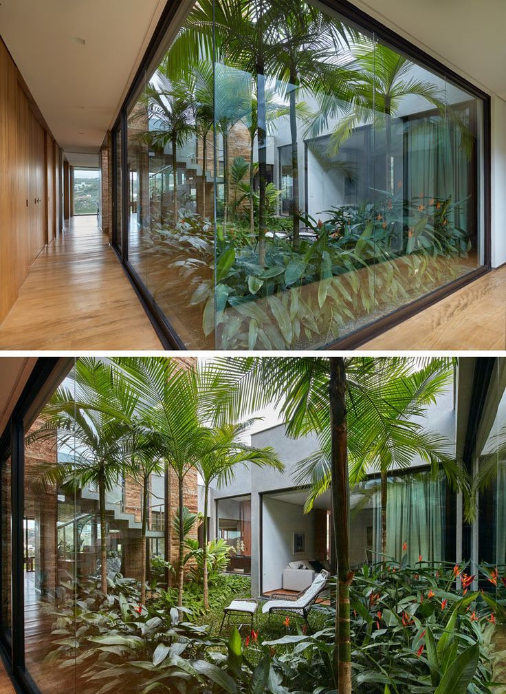 the inside and outside of a house that has plants in it on either side of the glass wall