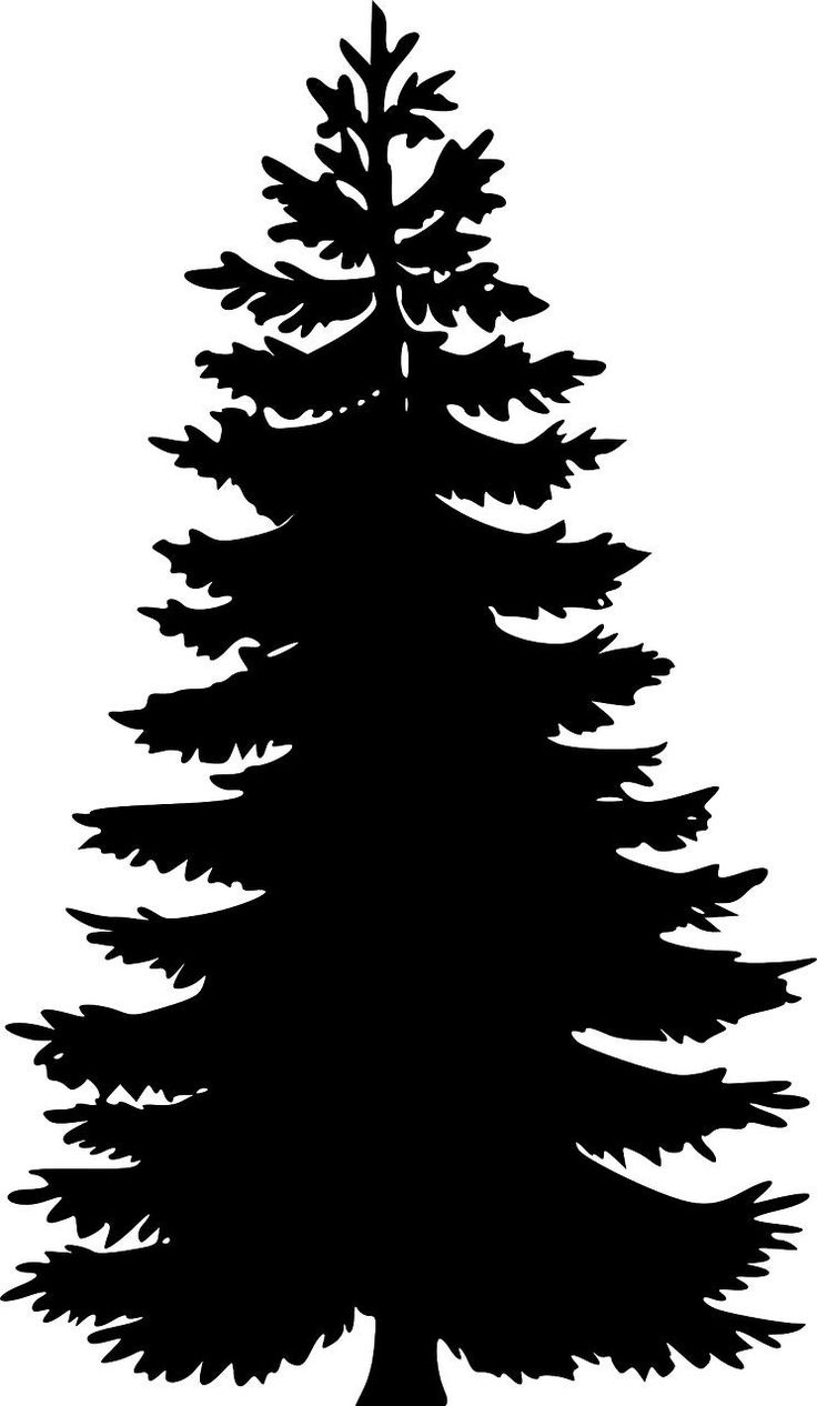 a black and white silhouette of a pine tree