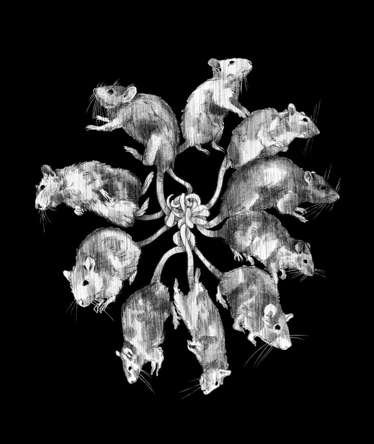 a group of mouses sitting on top of each other in front of a black background