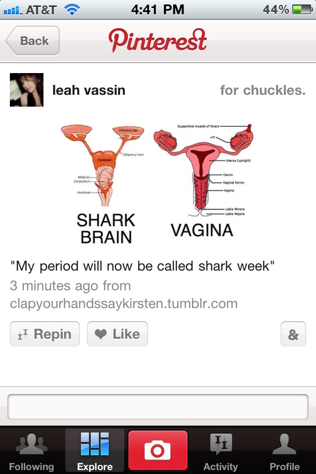 Hahahahahahahaha! Shark Brain, Period Humor, Freshman Year College, Code Names, Funny Names, It's Funny, Shark Week, Famous Last Words, Book Signing