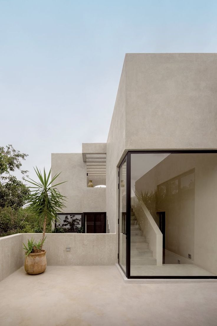 an outdoor area with stairs and potted plant in the foreground, surrounded by concrete walls