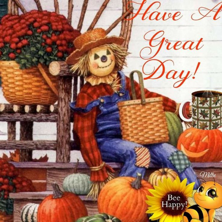 a happy thanksgiving card with a scarecrow and pumpkins