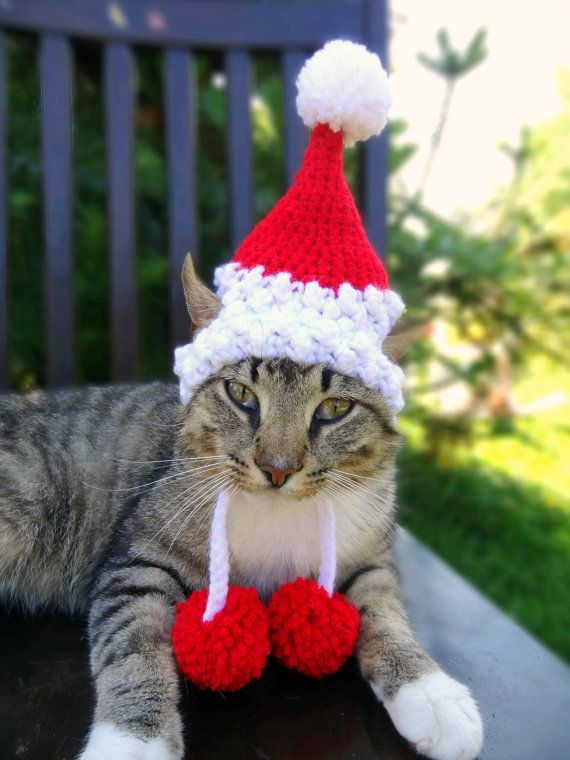 a cat wearing a knitted santa hat on top of a wooden table next to a bench