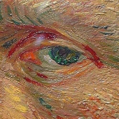 an animal's eye is shown in this artistic painting