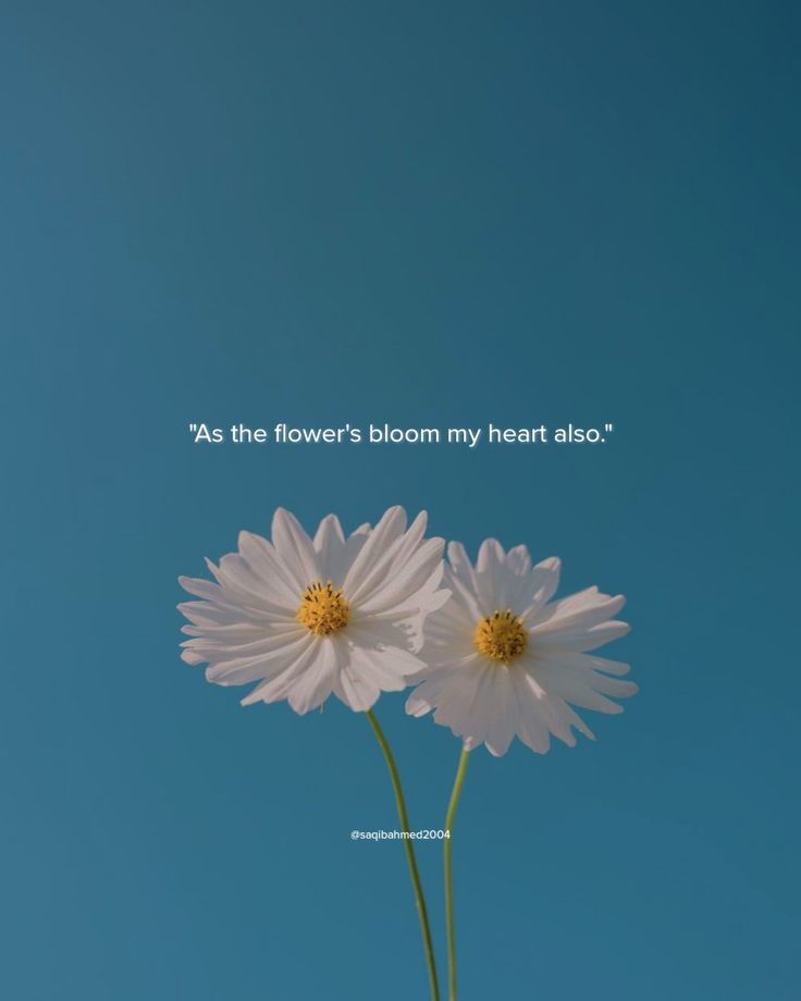 Quote Flowers From Him Quotes, Quotes About Flowers Blooming Life, Love Quotes With Flowers, Love Flowers Romantic Quotes, He Brought Me Flowers, Bloom Quotes Aesthetic, Flower Aesthetic Quotes Short, Love Bloom Quotes, Flowers And Love Quotes