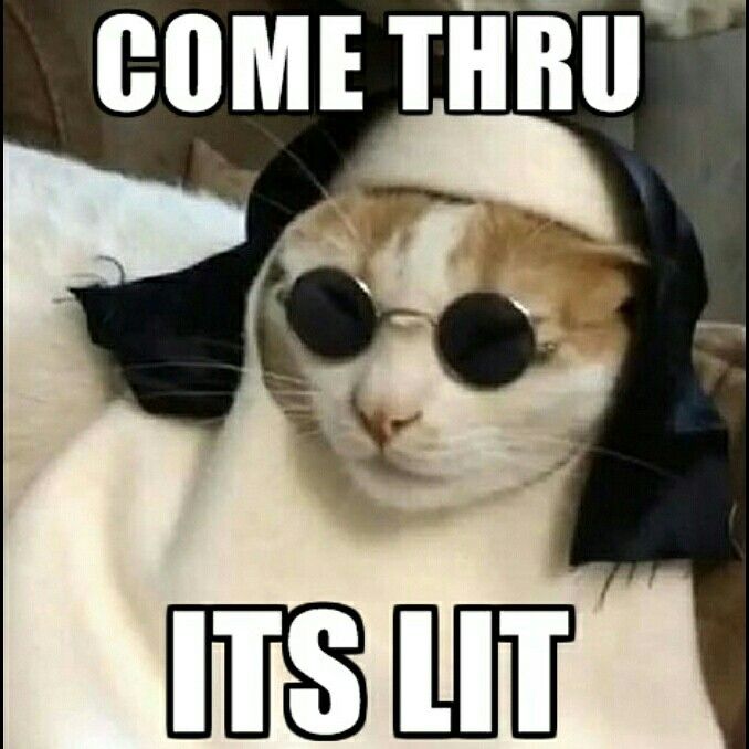 a cat wearing glasses and a hood with caption that reads, when you run the hood f