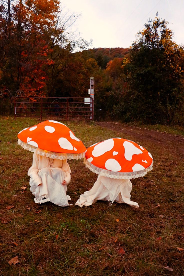 two orange and white mushrooms sitting on top of a grass covered field next to trees