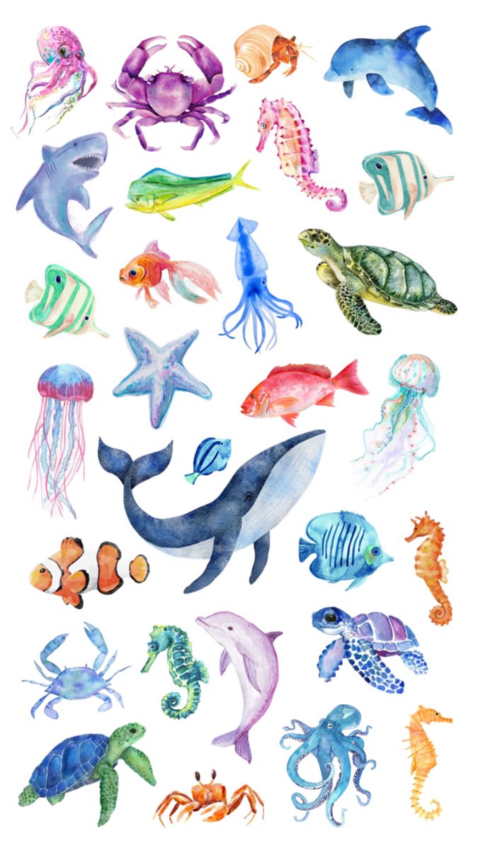 watercolor painting of different types of sea animals