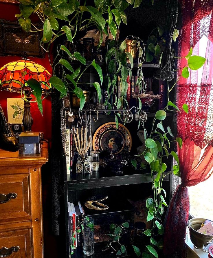 a shelf filled with lots of green plants next to a red curtain and window sill