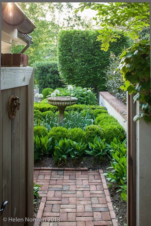 an open door leading to a garden with lots of greenery and plants in it