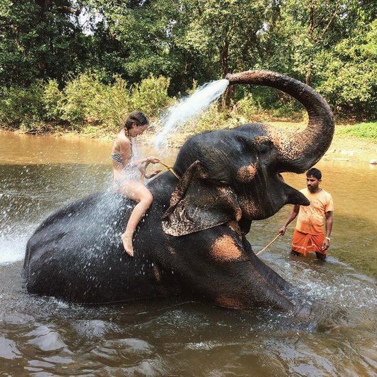 two people are bathing an elephant in the water