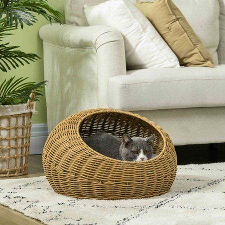 a cat is sitting in a wicker basket on the floor next to a couch