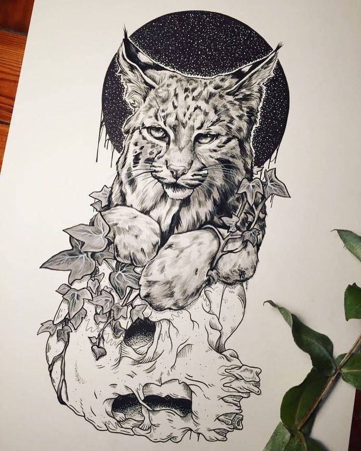 a drawing of a cat sitting on top of a human skull with leaves around it