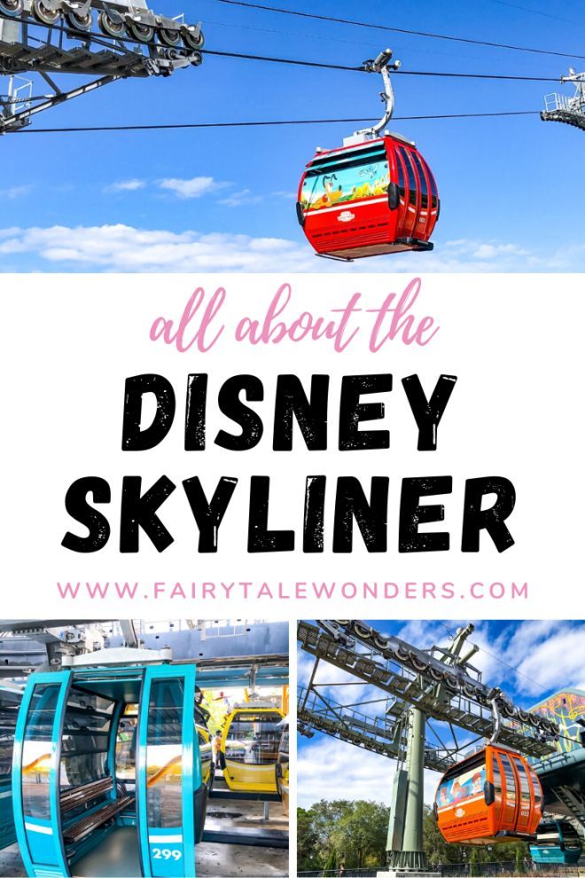 an amusement park with the words all about the disney skyliner