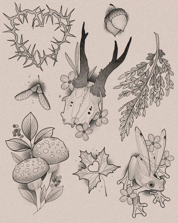 an ink drawing of different types of flowers and plants with leaves, mushrooms, berries, and butterflies