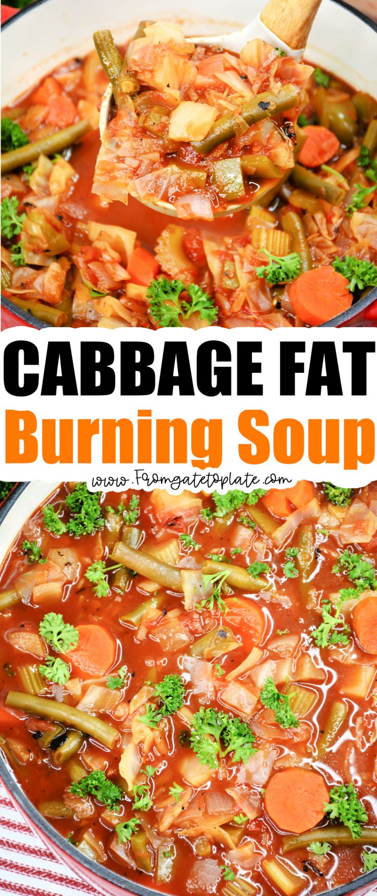 Weight Watchers Cabbage Soup Recipe, Cabbage Fat Burning Soup, Cabbage Soup Diet Recipe, Fat Burning Soup, Plats Weight Watchers, Cabbage Soup Diet, Best Fat Burning Foods, Low Carb Diets, Soup Diet