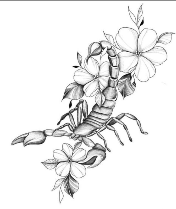 a black and white drawing of a scorpion with flowers on it's back side