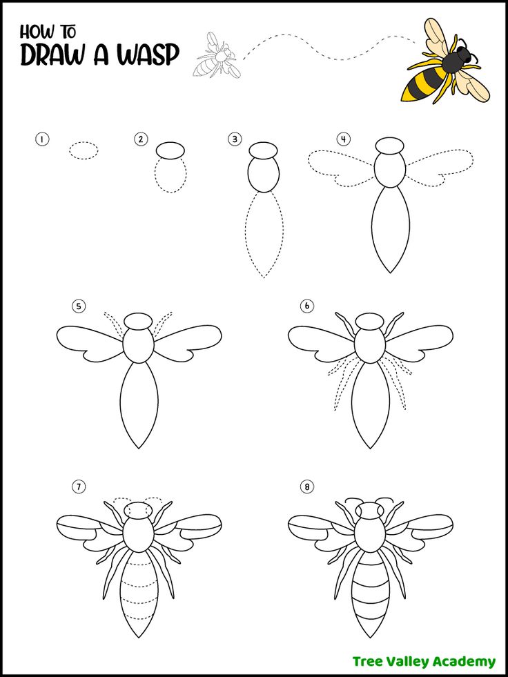 how to draw a cartoon bee with easy instructions for kids and beginners, step by step