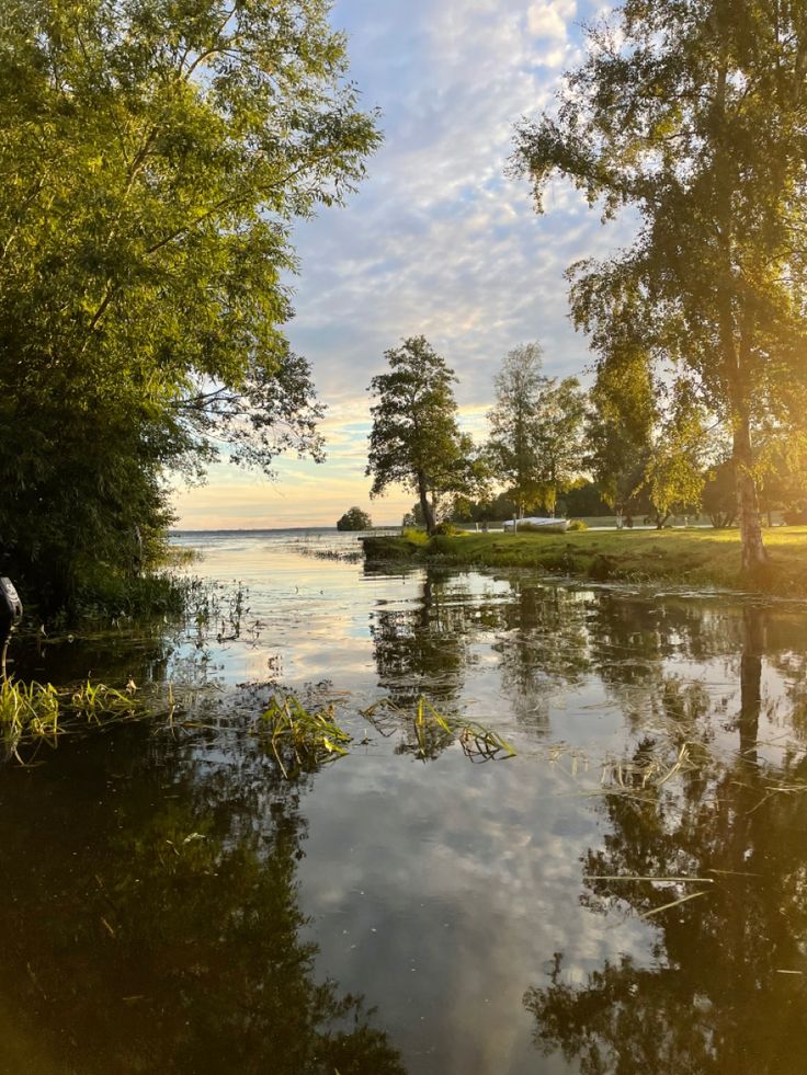 the water is calm and clear as it sits in the middle of the park, surrounded by trees